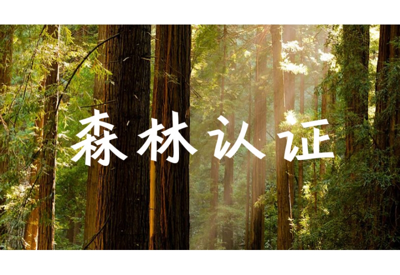 阜陽大可新材料股份有限公司關于開展森林聯(lián)合認證的公開承諾